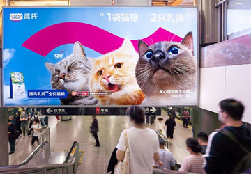 蓝氏猫粮上海地铁广告案例