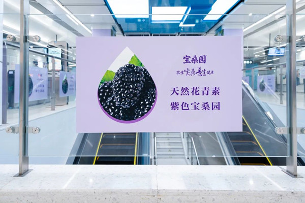 宝桑园桑果汁深圳地铁广告